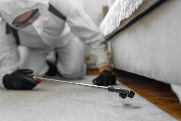 Professional Termite Control technician working in Versailles, PA