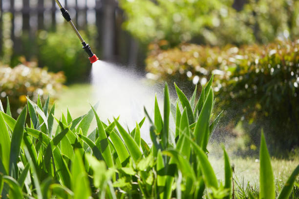 24/7 Emergency Termite Control experts in Versailles, PA
